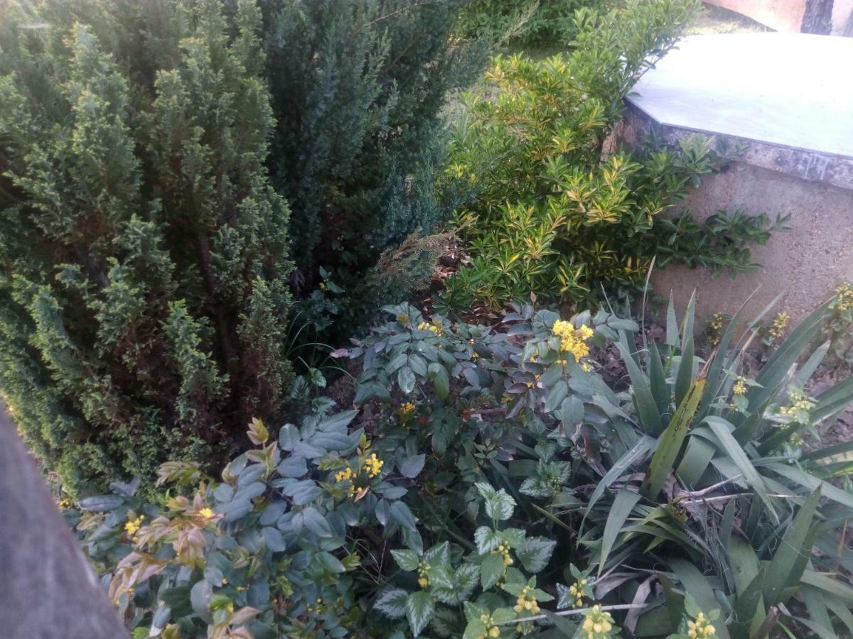Villa Kuca Za Odmor Mazuran à Karlovac Extérieur photo